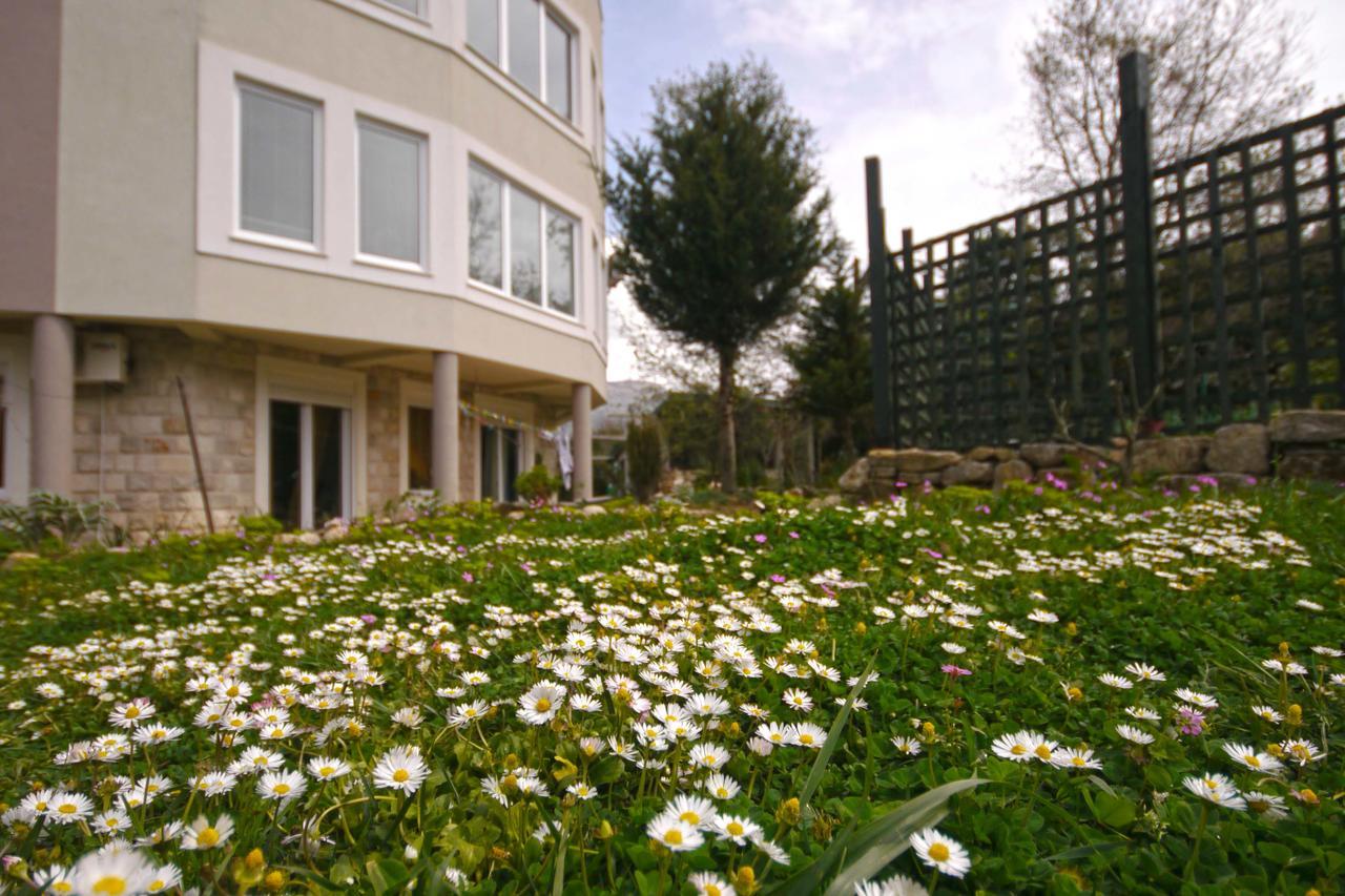 Mirta Apartments Family Farm 布德瓦 外观 照片